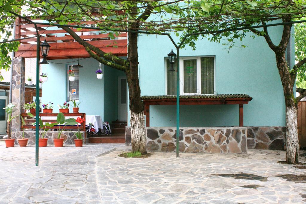 Busta House Hotel Bogdan Vodă Exterior photo