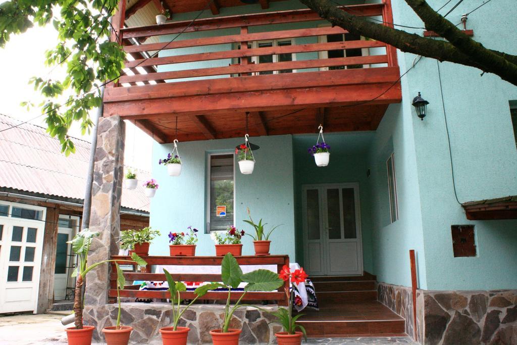 Busta House Hotel Bogdan Vodă Exterior photo